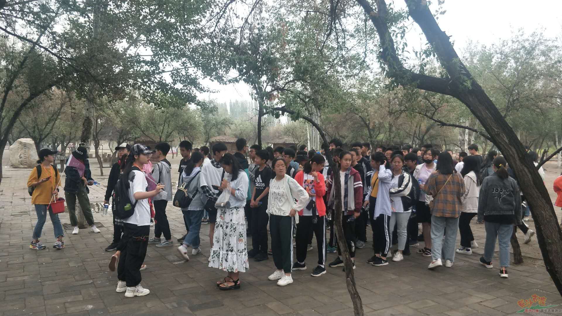 研学走进景区