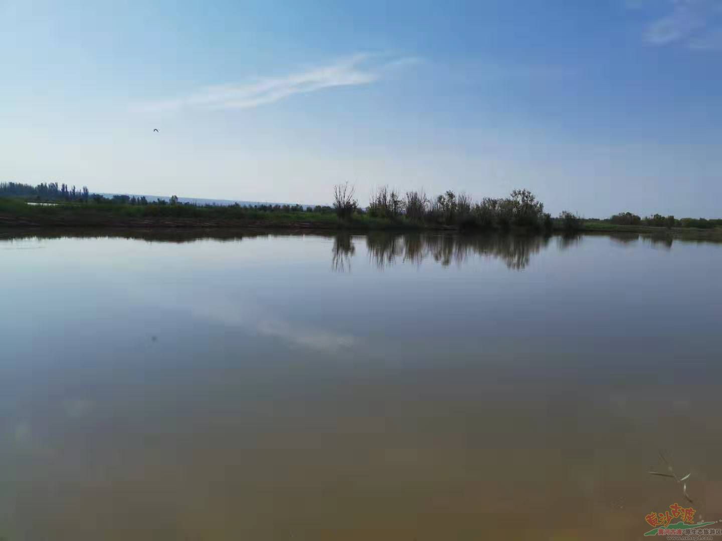 夏日里，湿地带给你独有的清爽