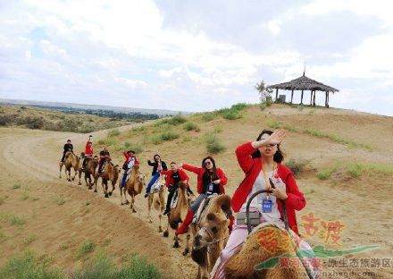 这里，让您体验西北地区特色文化