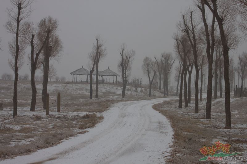2020年黄沙古渡的第一场雪