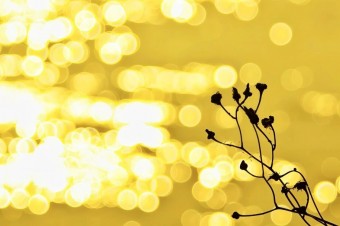 深秋十月，来黄沙古渡赴一场秋日盛宴吧~